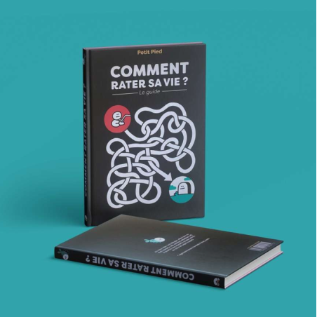 Comment rater sa vie - LIVRE D'OCCASION