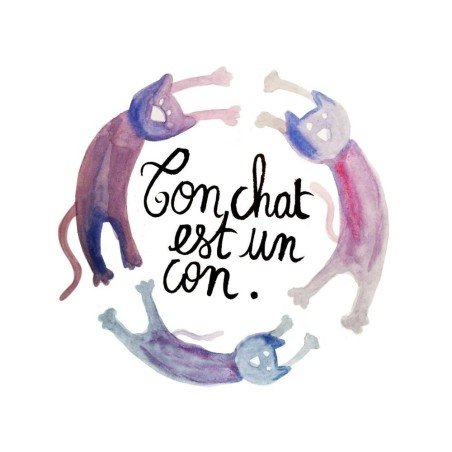 Badges trash Deloffre - Ton chat est un con