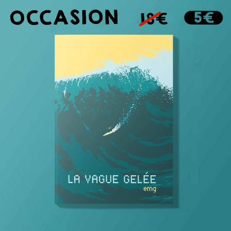 La Vague gelée - LIVRE D'OCCASION