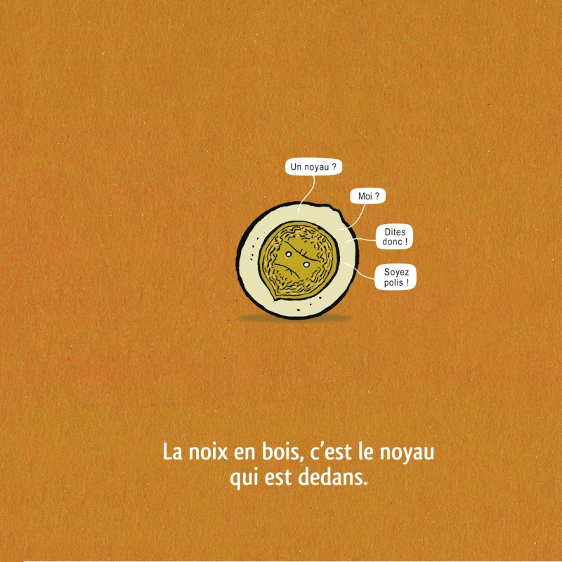 Ceci est une noix