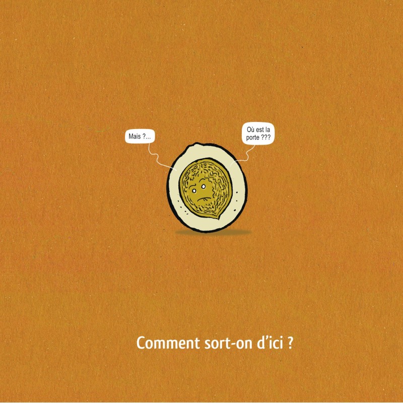 Ceci est une noix