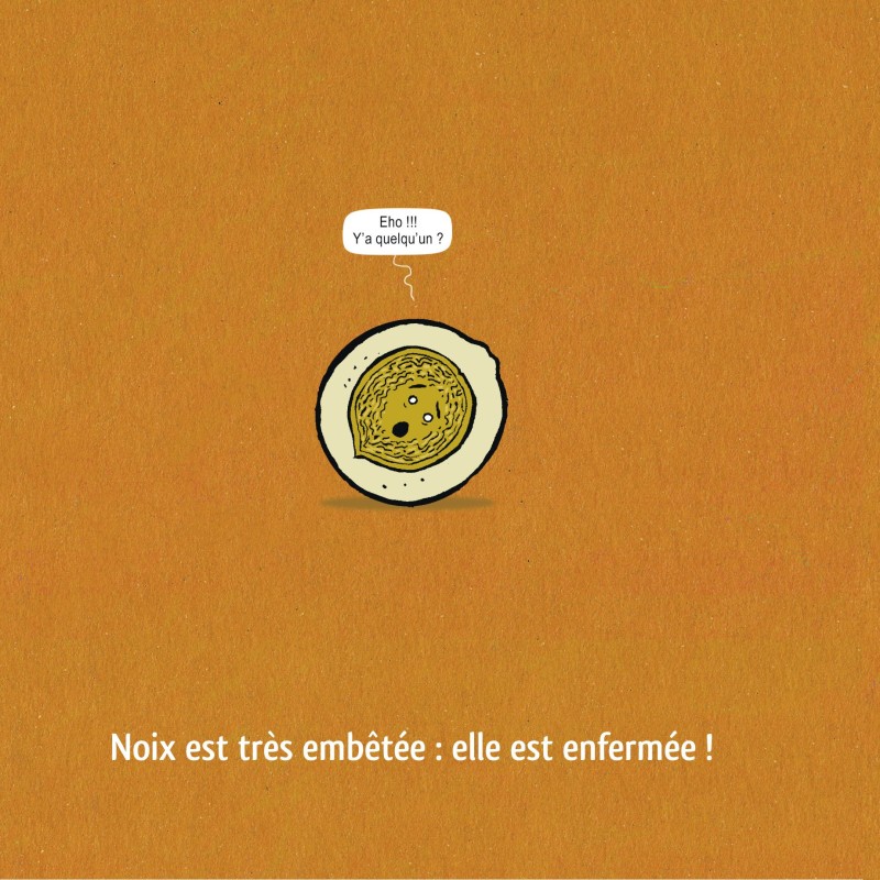 Ceci est une noix