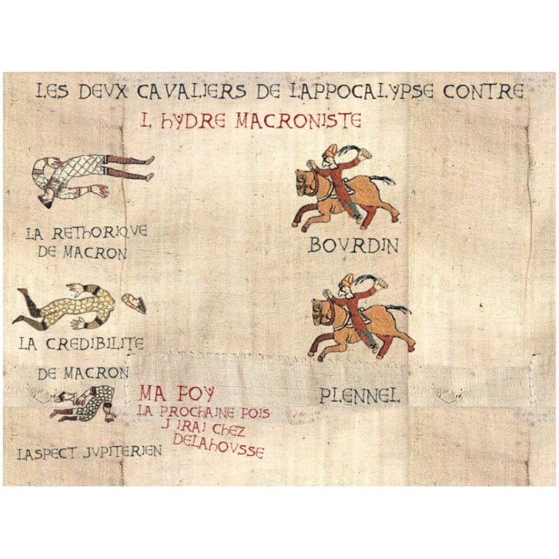 La geste du roy Manu Ier de Fronce