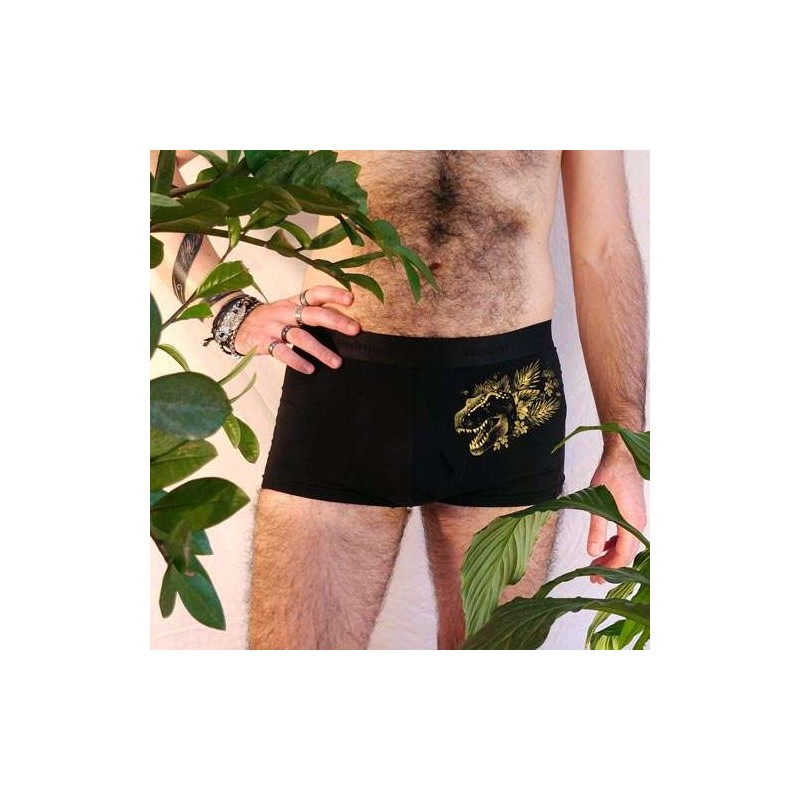 Les dessous dinos