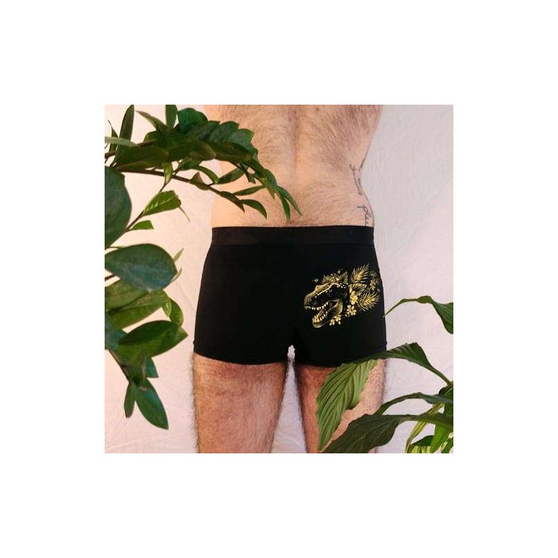Les dessous dinos