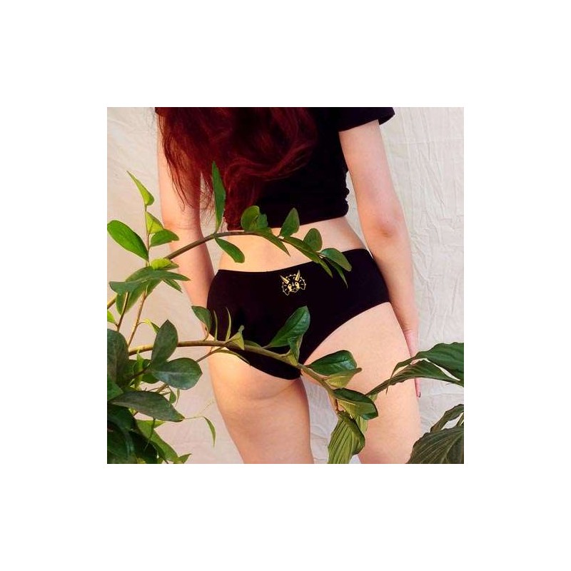Les dessous dinos