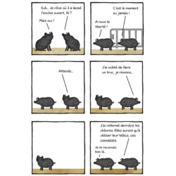 Travers de porc