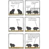 Travers de porc