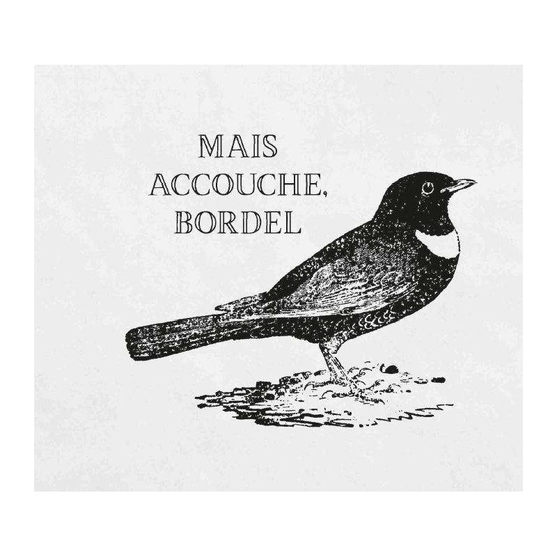Effin' Birds - PRÉVENTE