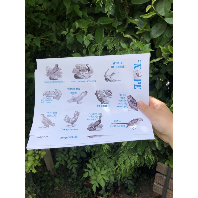 Stickers Eiffin' Birds