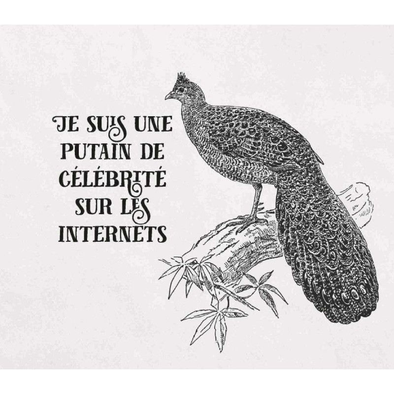Effin' Birds T02 - Les putains d'oiseaux reviennent