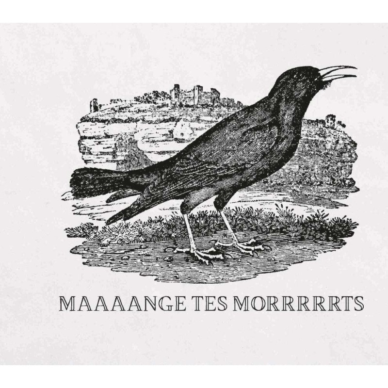 Effin' Birds T02 - Les putains d'oiseaux reviennent