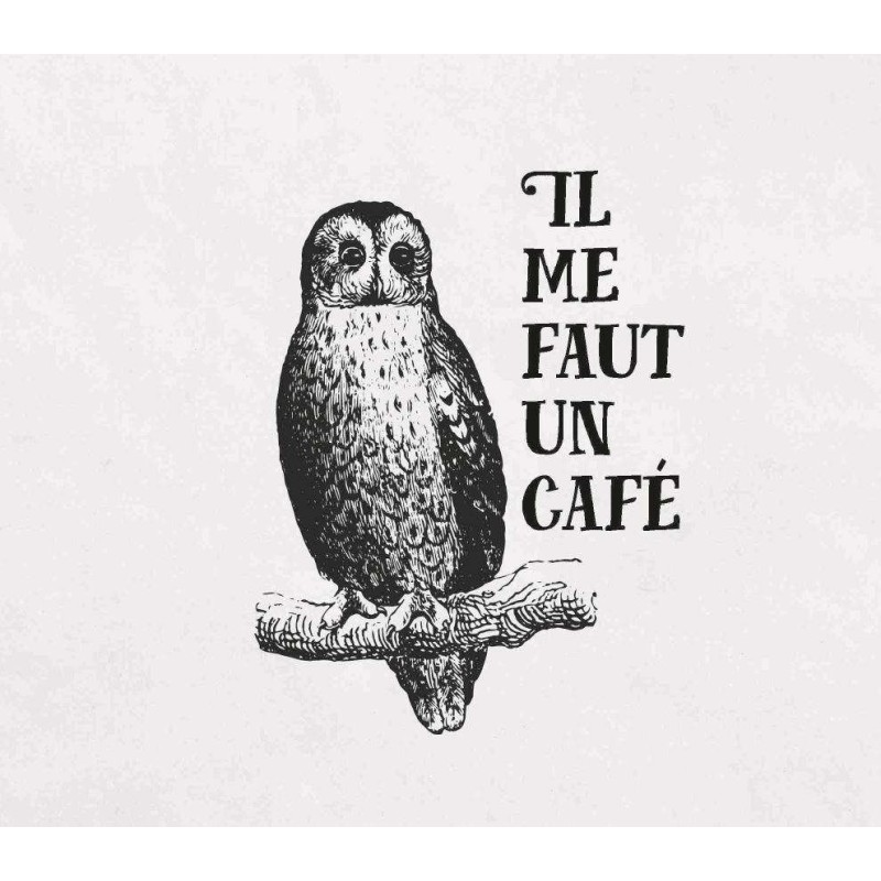Effin' Birds T02 - Les putains d'oiseaux reviennent
