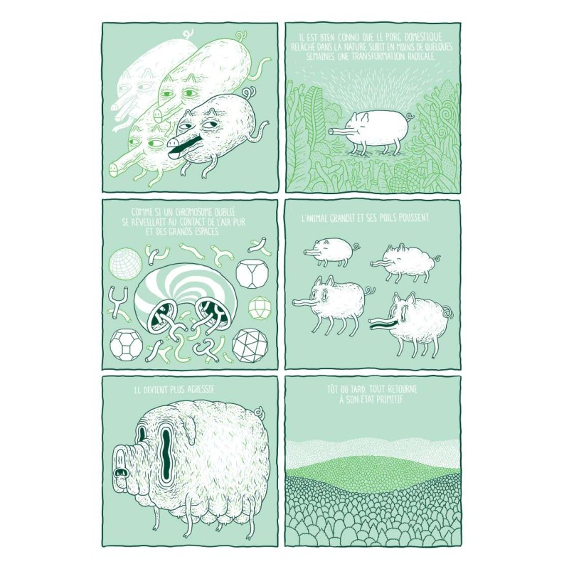 Safari lune de miel, par Jesse Jacobs