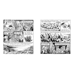 Insulaires - Livre d'occasion