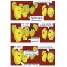 Patates 3