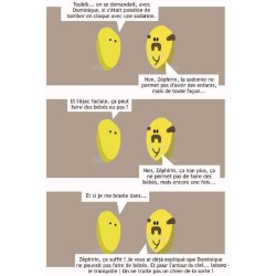 Patates 3
