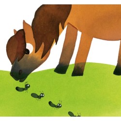 Curieuse fourmi / A curious ant - PRÉVENTE
