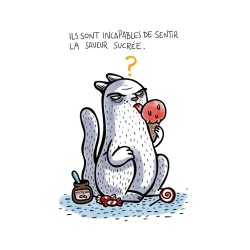 J'adore mon chat mais il s'en fout complètement