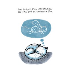 J'adore mon chat mais il s'en fout complètement